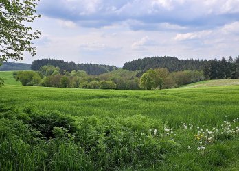 Artikelbild