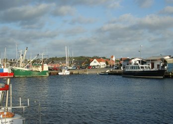 Artikelbild