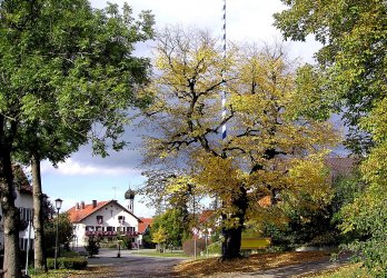 Artikelbild