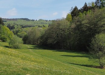 Artikelbild