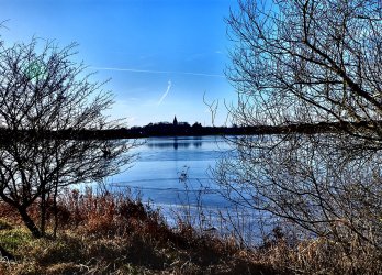 Artikelbild