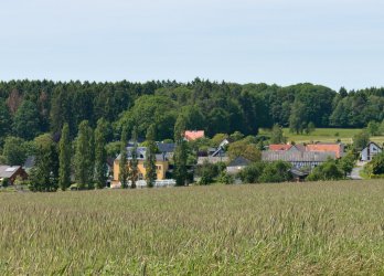 Artikelbild