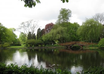 Artikelbild