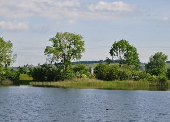 Artikelbild
