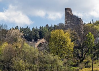 Artikelbild