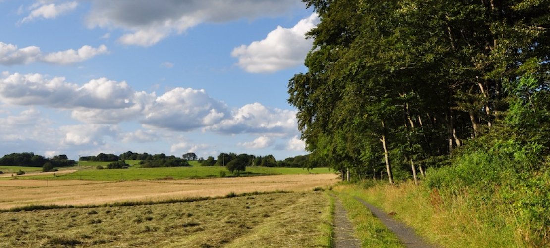 Artikelbild
