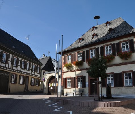 Artikelbild