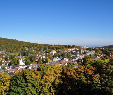 Artikelbild