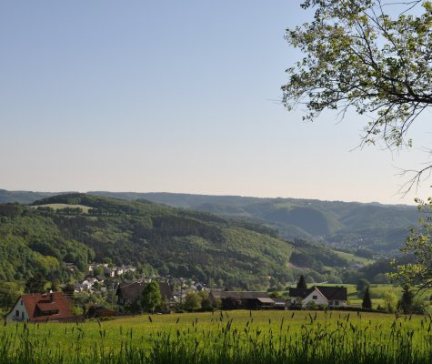 Artikelbild