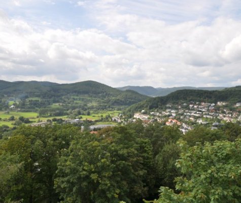 Artikelbild