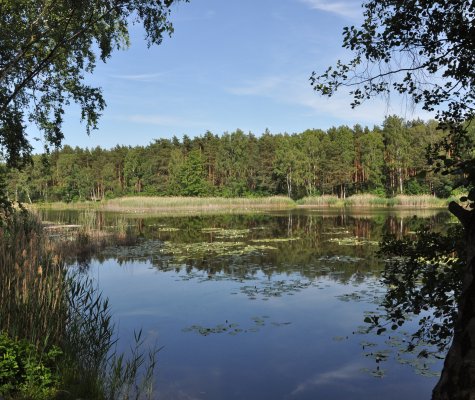 Artikelbild